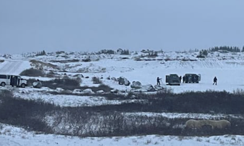 Collecting geospatial information for the Churchill Hudson Bay Interpretive Centre