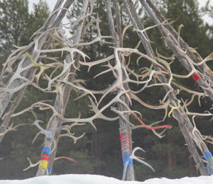 2025 SV Nomadic Hubof New Genre Arctic Art