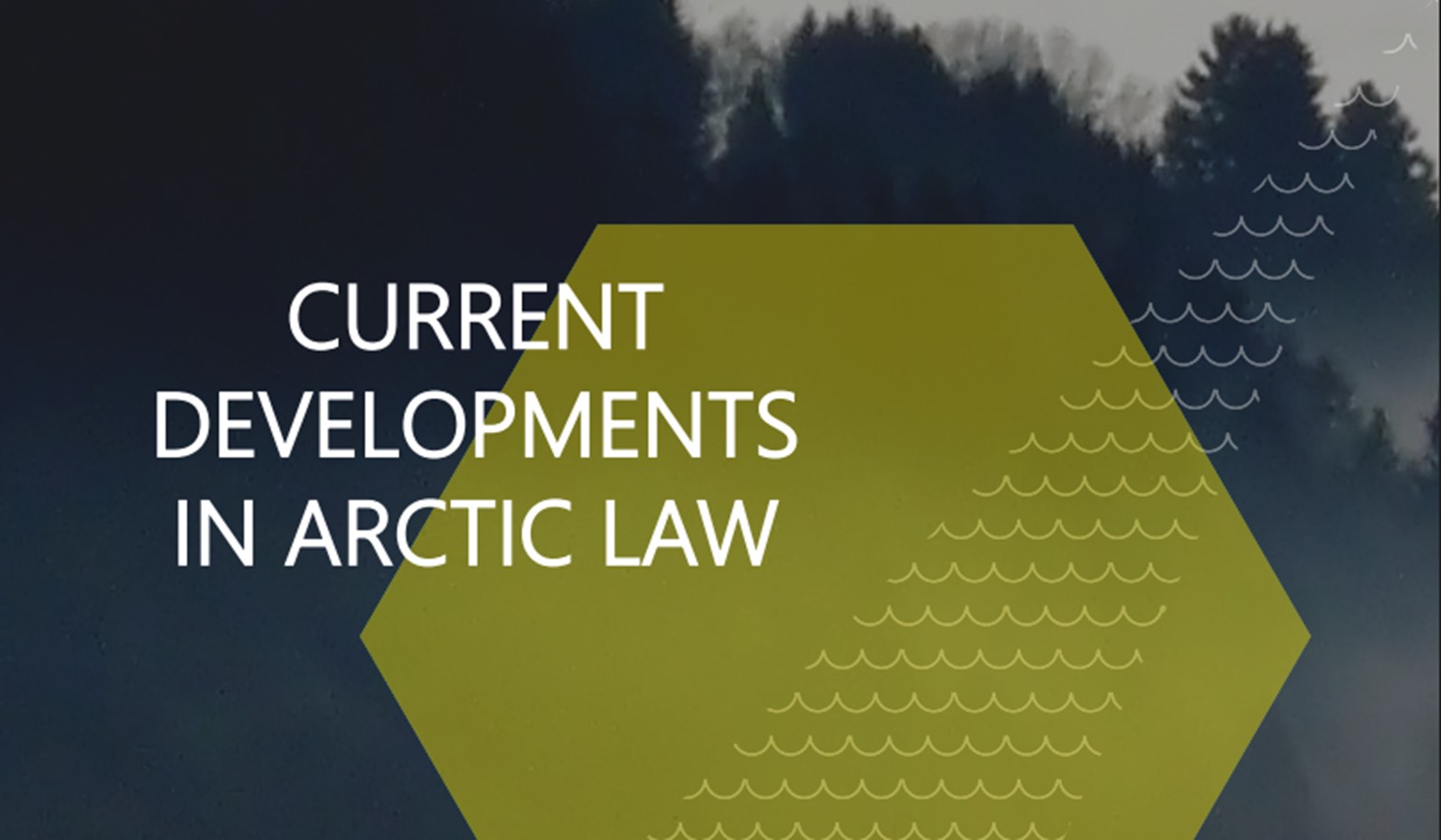 Arctic Law