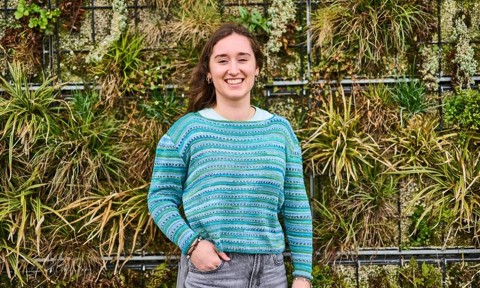 Picuture Intern News