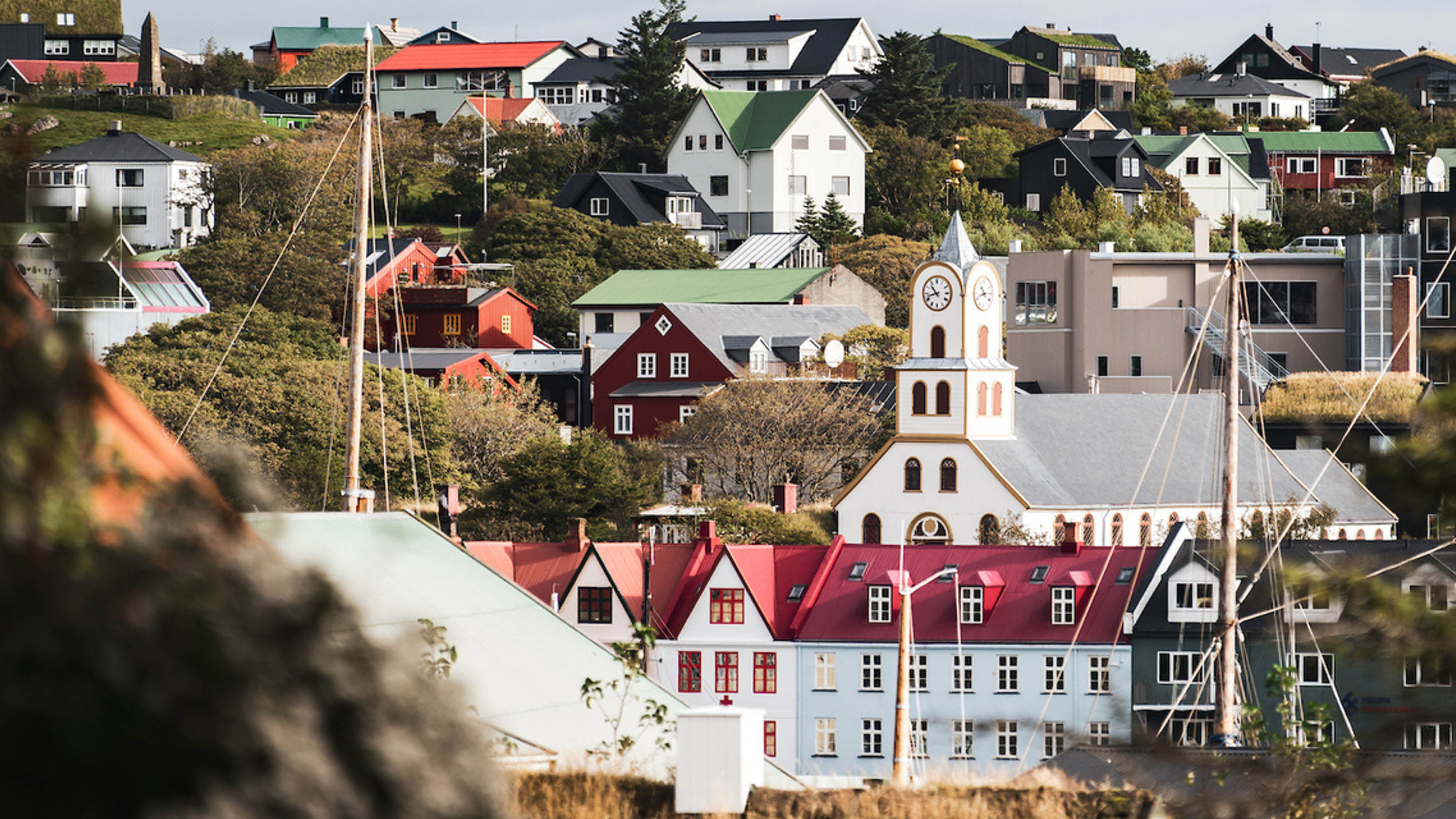 2025 SV Congress 2026