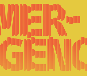 Tourism Industry As Security Provider