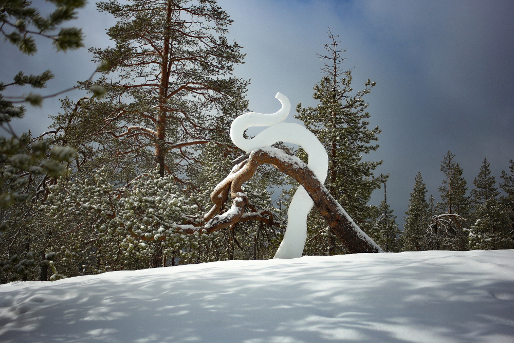 Antti Stöckell, Playing With Snow, 2025