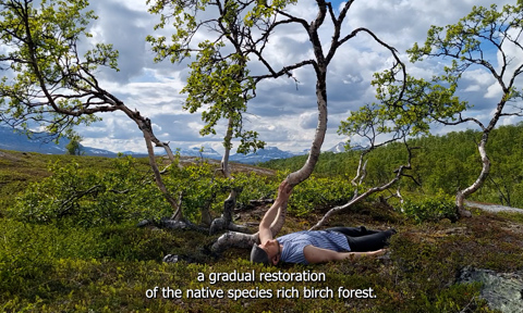 20240617 152345.00 08 46 03.Still006